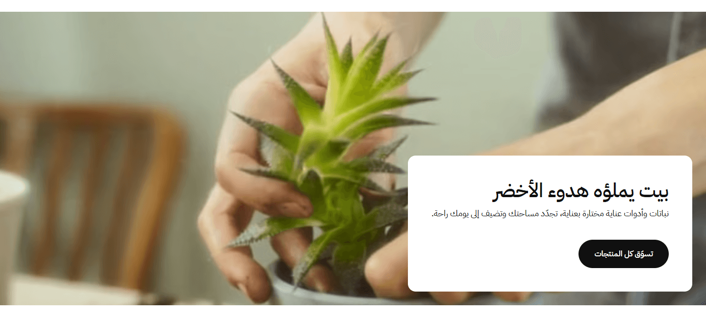 صورة عريضة وكارت أبيض في الركن