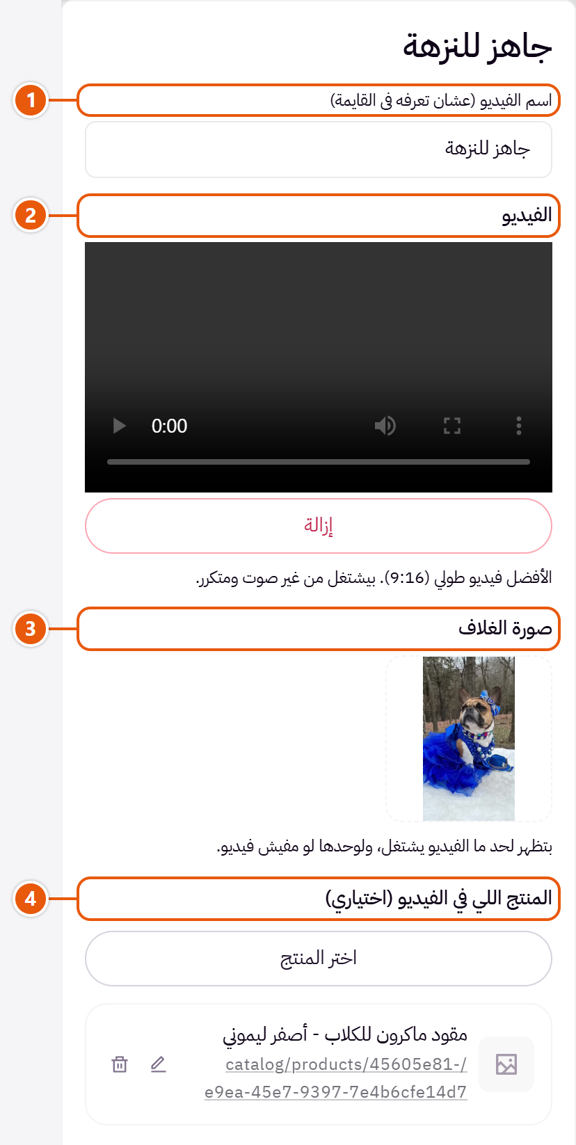 إعدادات «الفيديوهات» في محرر زد