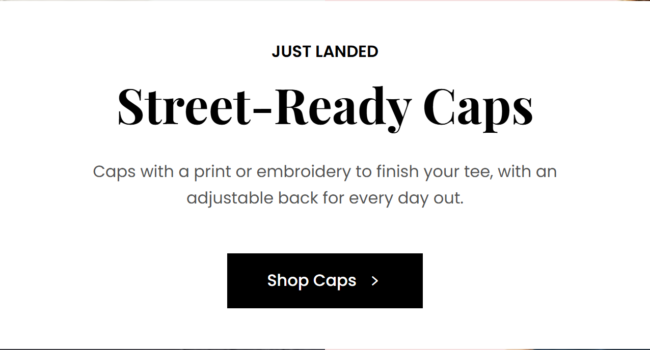 Fonts