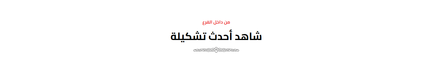 فيديو